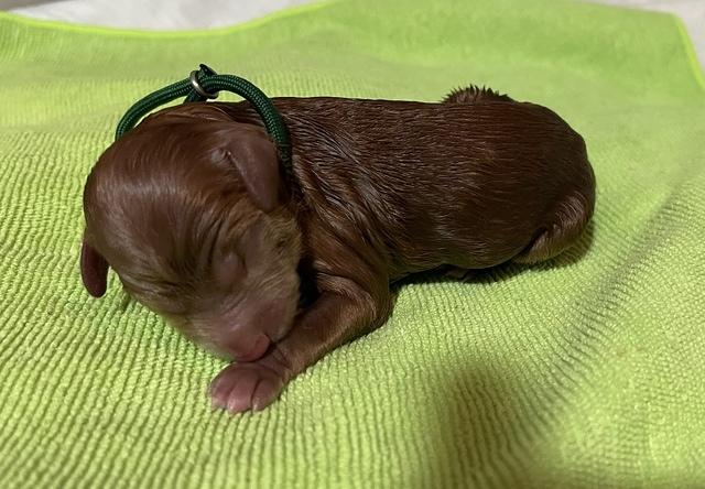 92FD805F-2FDF-4FF4-A3A3-B6BE1CE6AA47