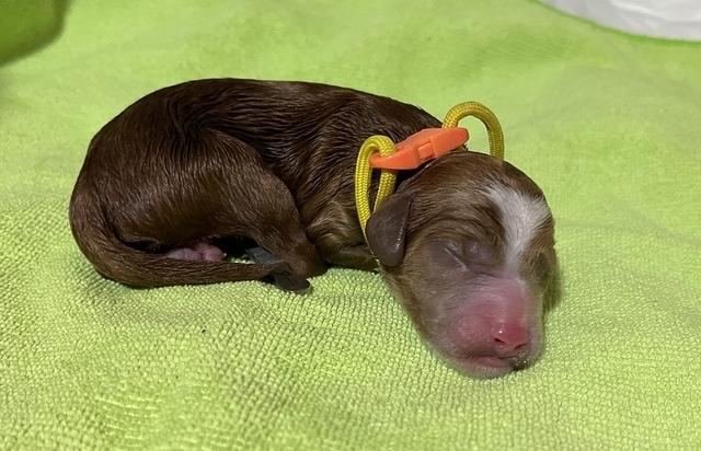 5B0A9312-FA60-4ECC-836D-8418A34DCD98