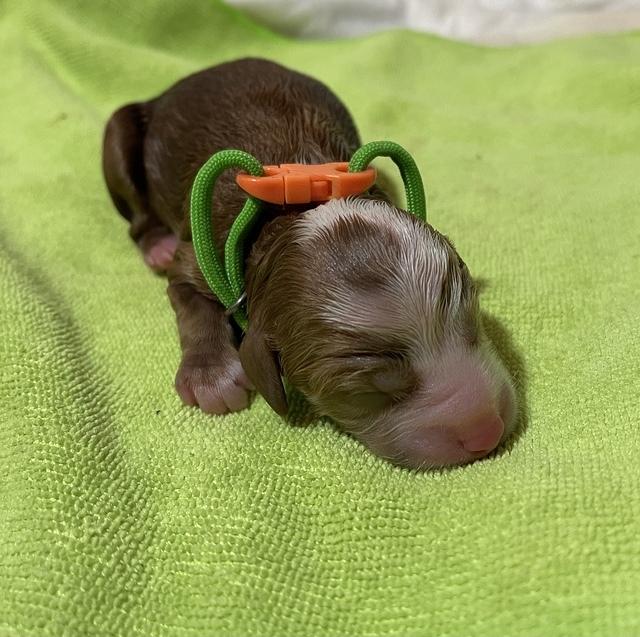 9763FEFF-670E-4A1B-9AF4-1211799AD5F5