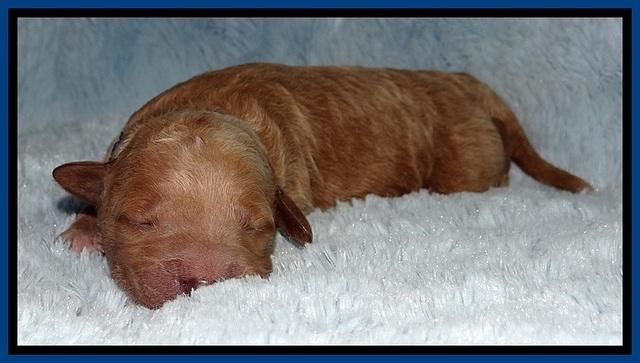 BT 2 days old 611