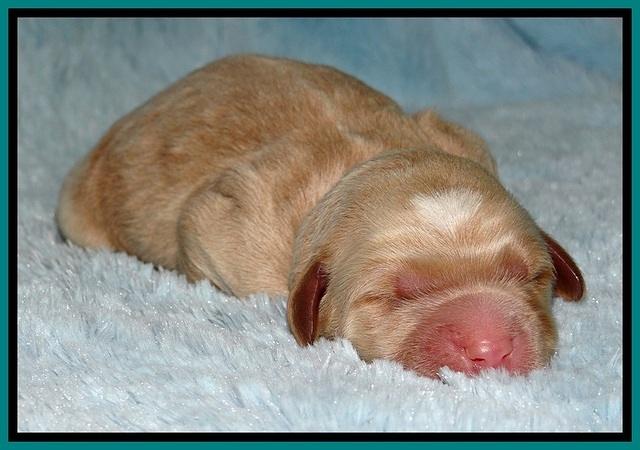 BT 2 days old 541