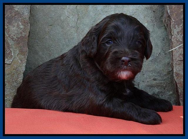 Blue 3 wks (77)