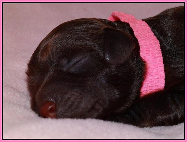 Pink 1 day (6)