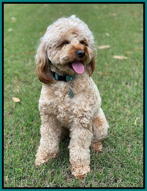 Delta sit smile 4 2020 1