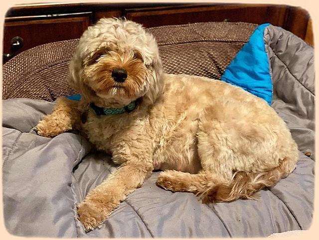 Spa day 9 29 2020 Delta