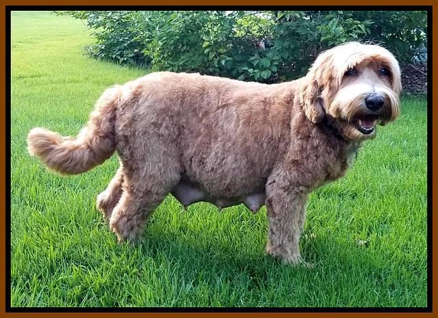 Ellie tucker day 57 1