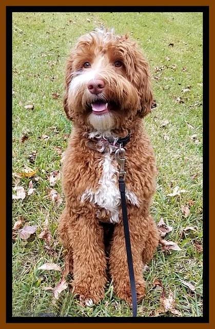tucker sit 1