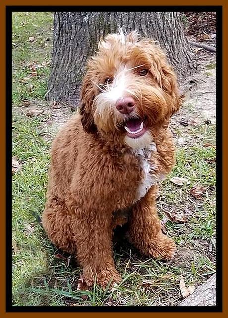 tucker smile 1