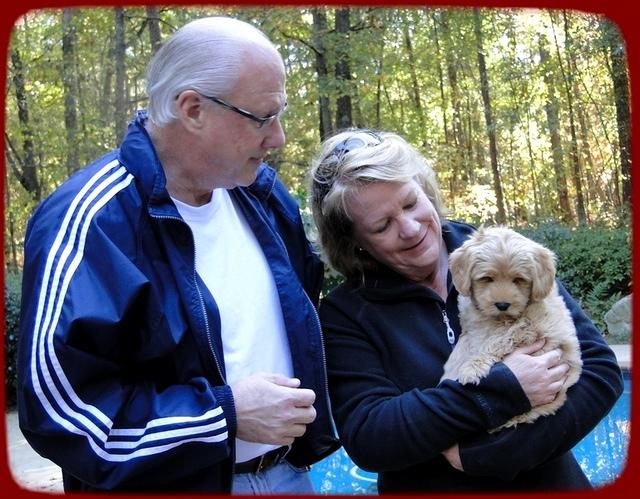 EB pups 8 wks old 33