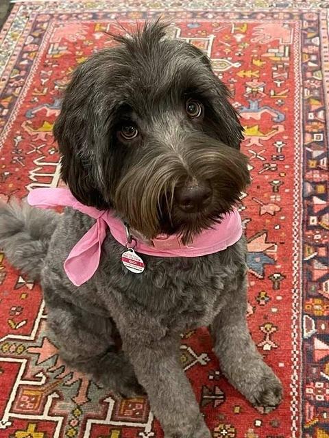 CA86201A-0C94-40DB-BFF0-6C860724BCDE