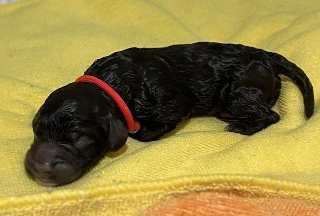 4DED6CFA-460A-4718-8B2C-E2DCEF50D077