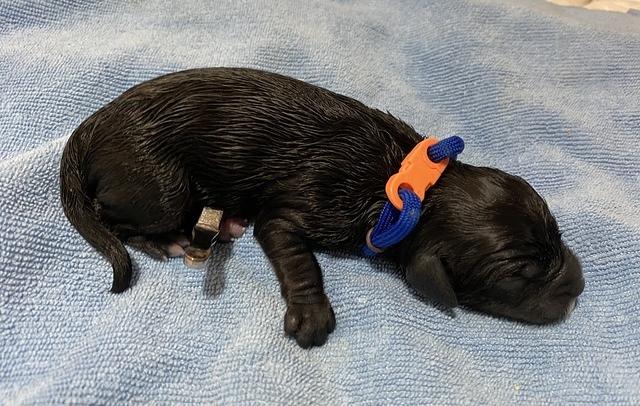 A065BC00-BB9A-4532-9886-277CE6B3434E