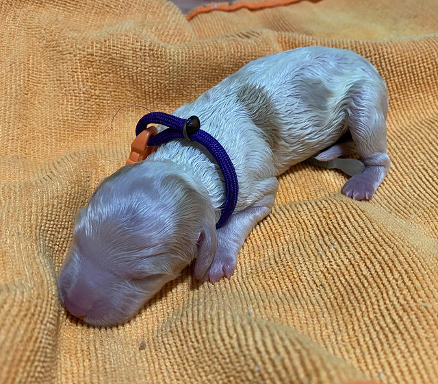 C8FF2F1C-4158-43C4-8D9C-81355BD924B0