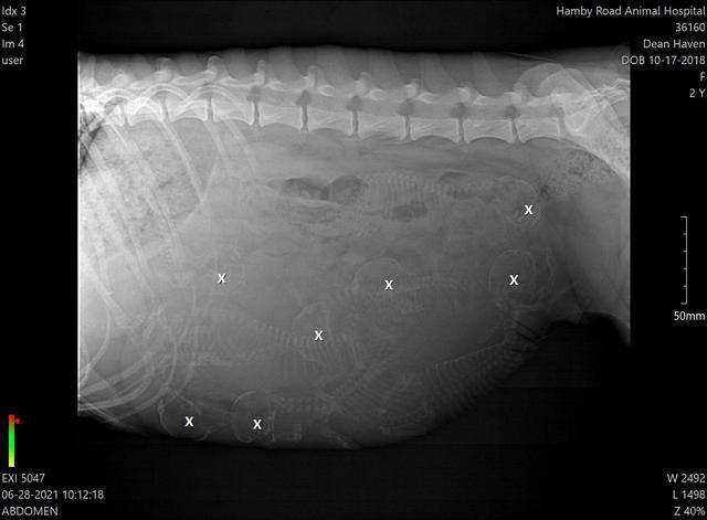 36160 Haven Dean 06-28-2021 10 12 18 1-4