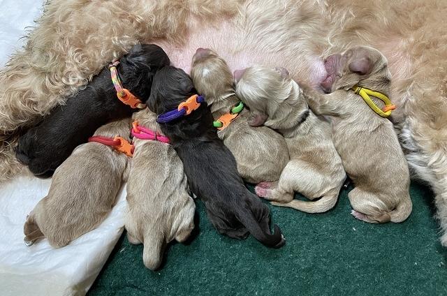 AF229C27-56CD-4C2C-93D2-66CA161111C0