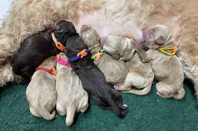 C8B9E61F-4423-42D9-82A2-4AD18205C226