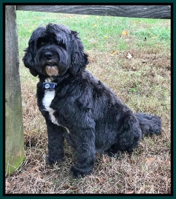 Jetta day 55 Banks 1