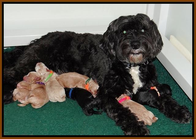 Jetta Banks newborn 2200