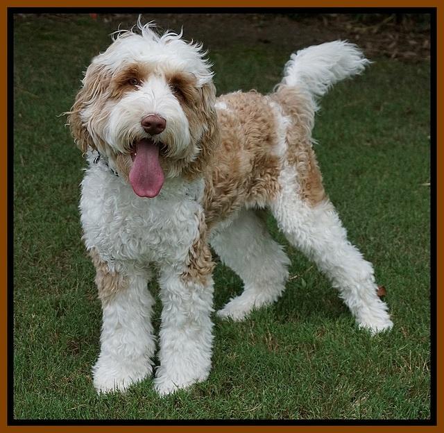 Dansby 7 mos old 7 14 19 31