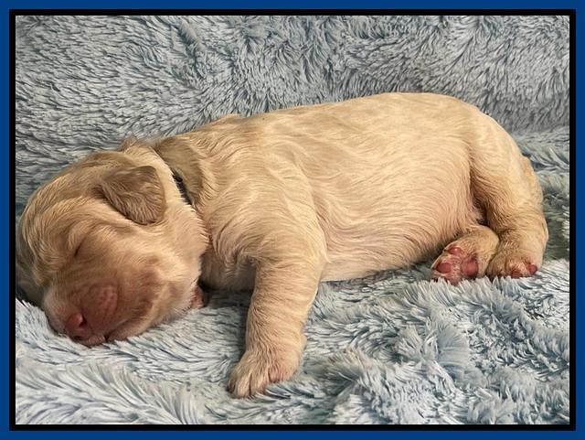 Kenzie Dansby 1 week old 21