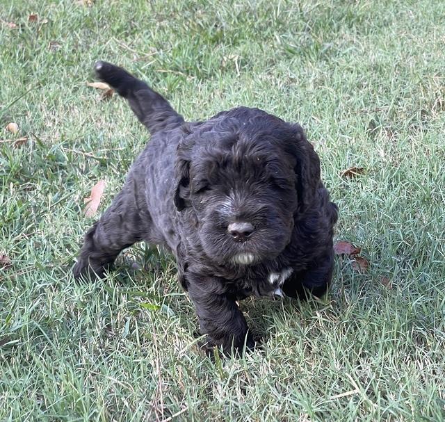 26D3B8CF-F3AC-4AA9-8EE0-911AFC5BC4B3