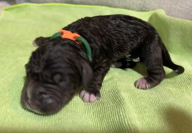 DFFD9FA4-EF7A-4126-8363-95CC491DAF71