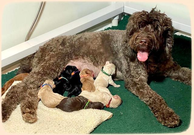 Kenzie Newborn pics 161