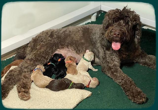 newborn group 2