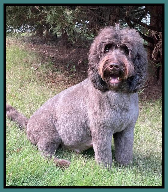 kenzie day 56 preg 1 flynn 5