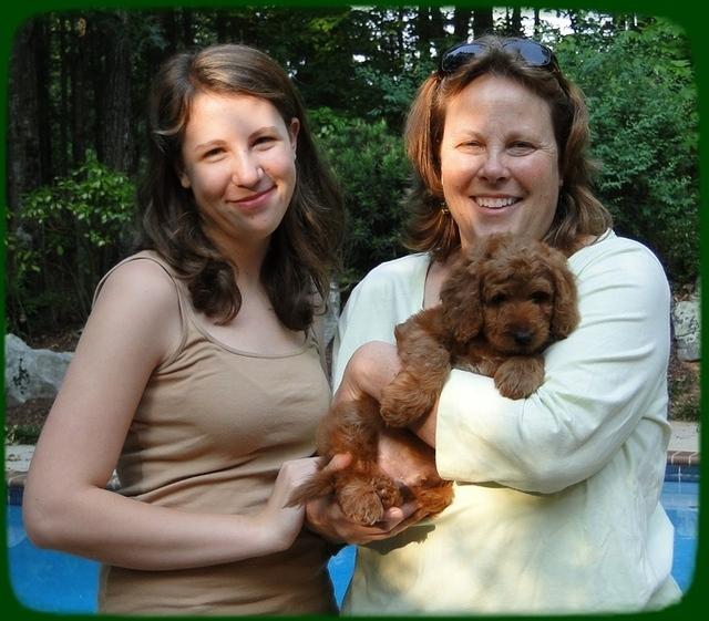 KT pups 9 wks old 100