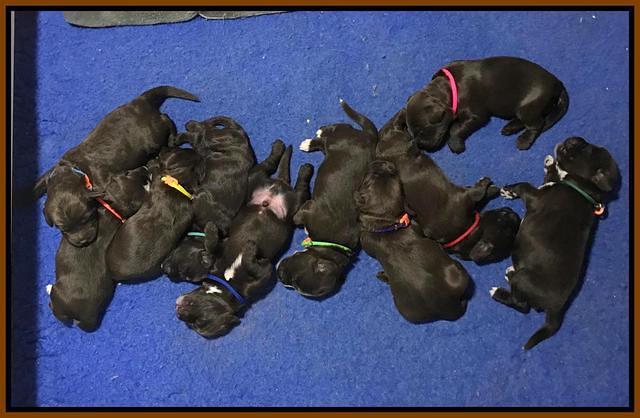 1 week group