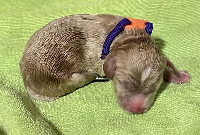 DF4A2B37-C890-42BE-9994-5D3AB478E270