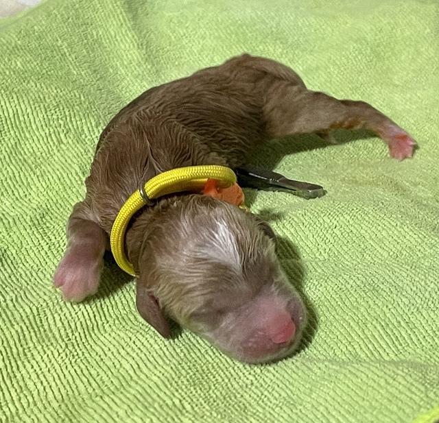 5B736958-3A9D-4F24-AC40-777B0B788109