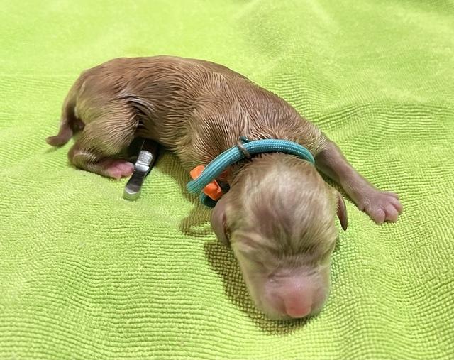 1DC3632F-EF71-4719-B4AE-E724A6E38413