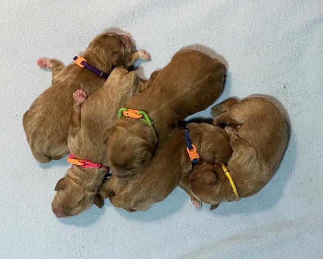 00767865-4995-430B-B515-7847BCB5C9F5