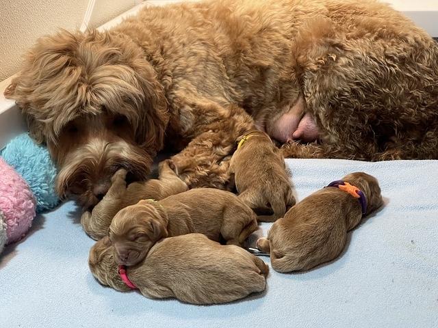 55E8C319-8F3D-499B-A7BD-B2E02CC76196