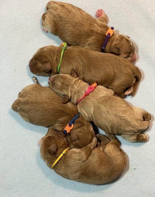 92C26354-D340-4DDC-9798-F3A008673D15