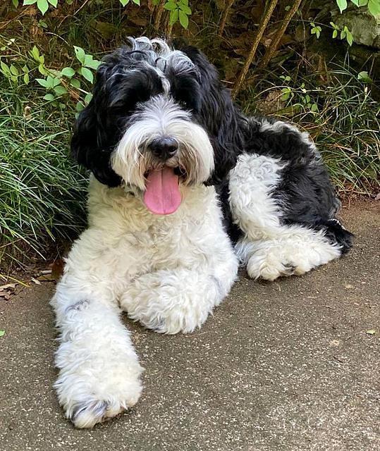 Harlee 18 mos old 41