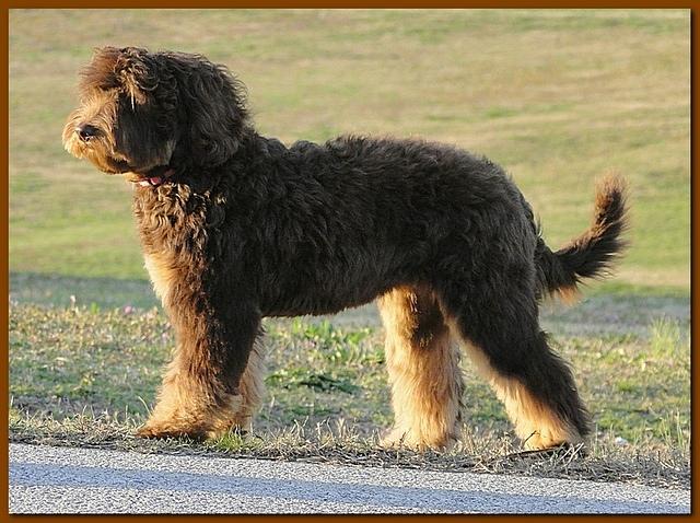 Shelby at park 6 mos old 007