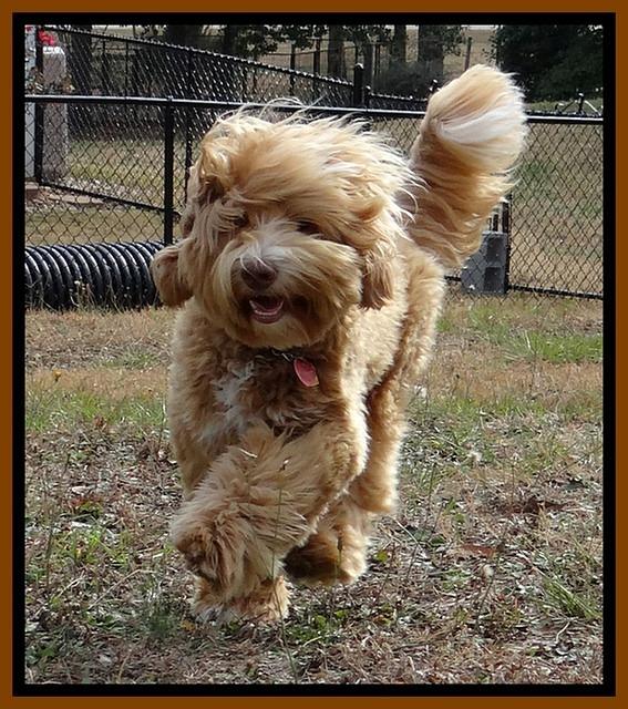 Reagan 1 year old 12 12 11