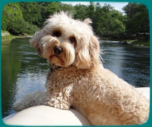 Sky July 2012 loves boating