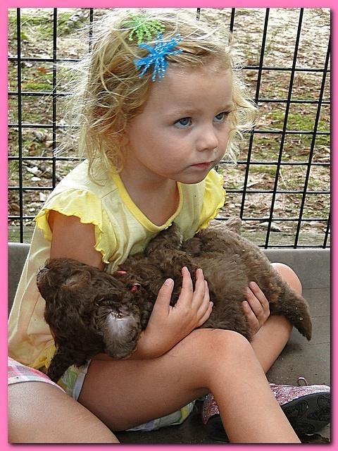 Tara Rascal puppies 4 weeks playing 026