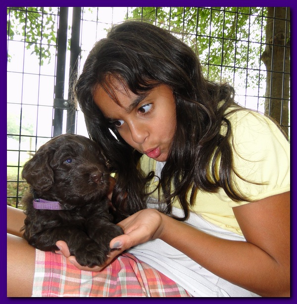 Tara Rascal puppies 4 weeks playing 022