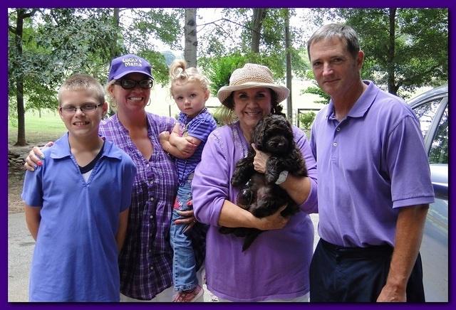 Tara Rascal puppies 8 weeks old purple 002