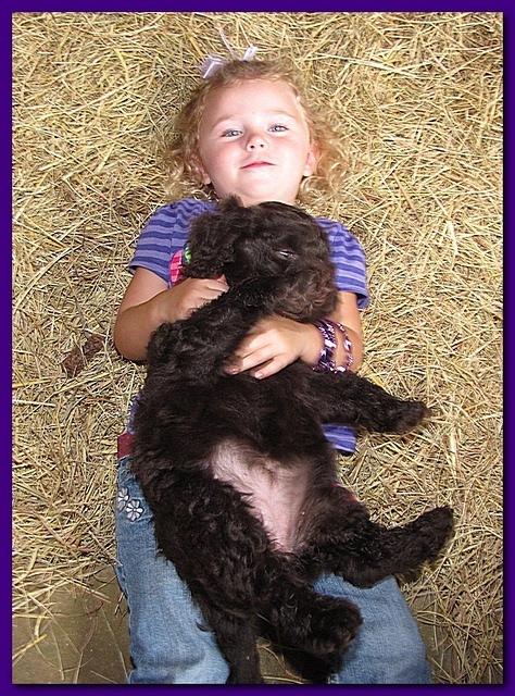 lucky and purple girl