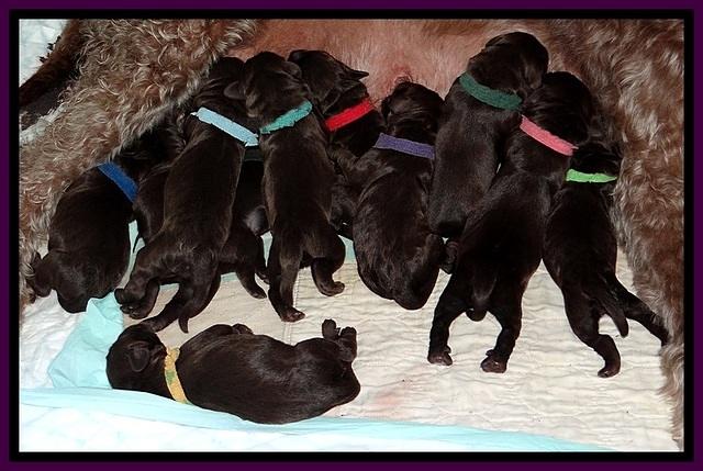 TH newborn group mom 41