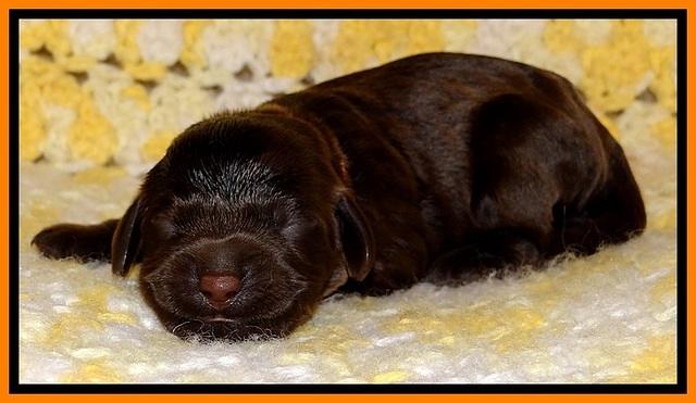 TH newborn individual 181