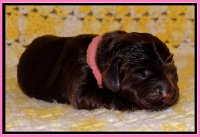 TH newborn individual 21