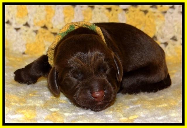 TH newborn individual 251