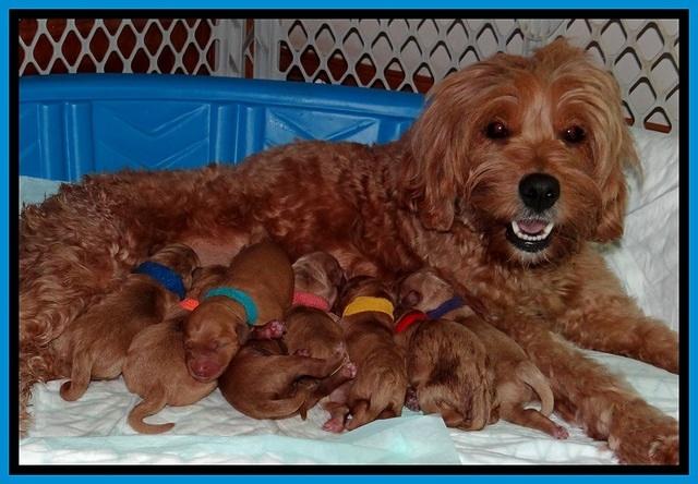 TB newborn group 11